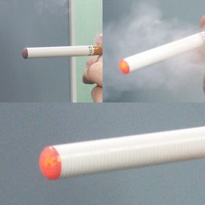 ͽ:2009ǯ3ܤ缡ȯŻҤФ ECO Smoker(⡼ˤβ4